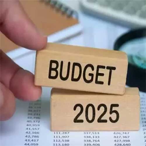 Indiaâ€™s Technical Textiles Market Hits $29 Billion, Budget 2025 Boosts Growth