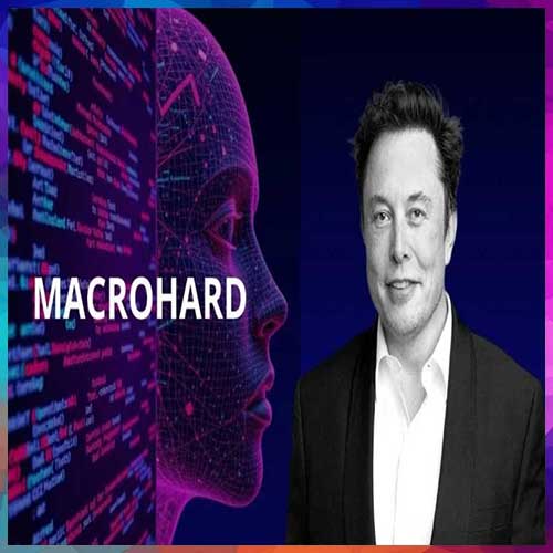 Musk unveils joint Tesla-xAI project â€˜Macrohardâ€™