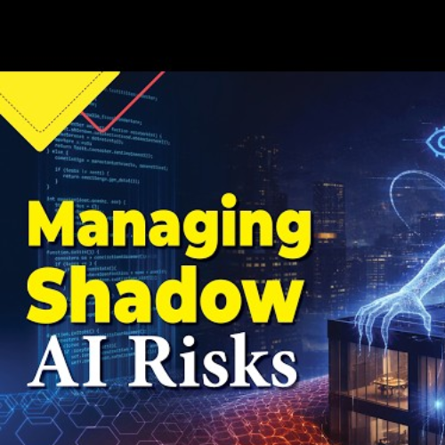 Handling Shadow AI Risks