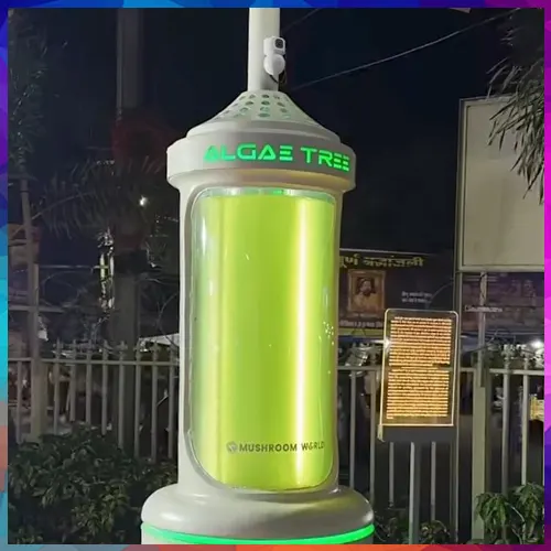 Bhopal gets Indiaâ€™s first â€˜Algae Treeâ€™ that cleans air like 25 real trees