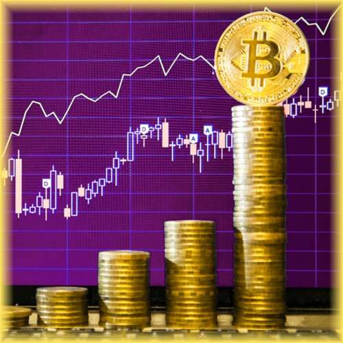 Bitcoin crossed $53,000 as Elon Musk backs it over cash