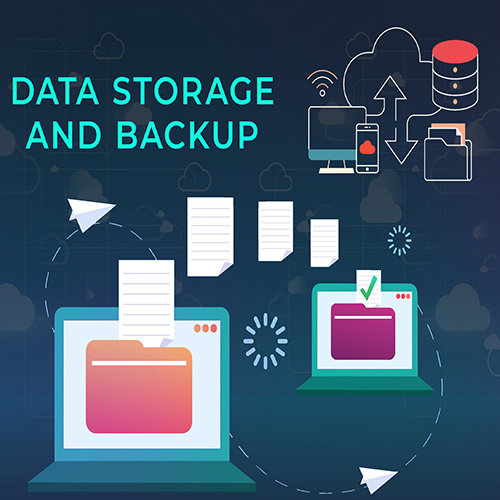 Risks and Adaptability in the Data Storage and Backup Solution Industry